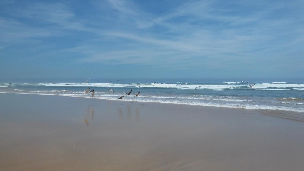 Apartamentos Bau-Doce Cercal do Alentejo Pokój zdjęcie