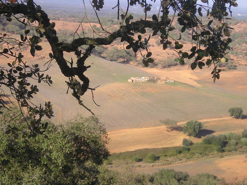 Apartamentos Bau-Doce Cercal do Alentejo Pokój zdjęcie