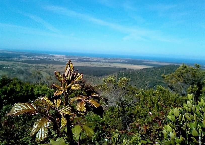 Apartamentos Bau-Doce Cercal do Alentejo Zewnętrze zdjęcie